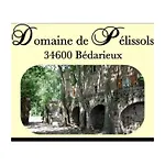 D'hôtes Domaine De Pélissols 3*