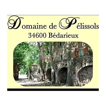 D'hotes Domaine De Pelissols