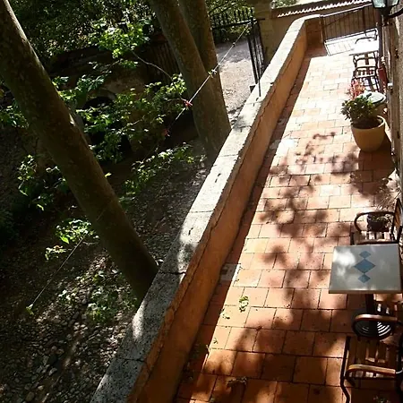 D'hotes Domaine De Pelissols Bed and Breakfast