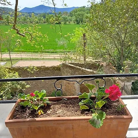 Bed and Breakfast D'hotes Domaine De Pelissols 3*
