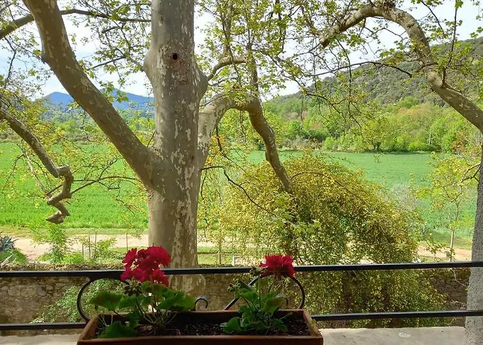 Bed & Breakfast D'hotes Domaine De Pelissols 3*