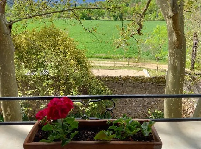 D'hotes Domaine De Pelissols Bed & Breakfast 3*