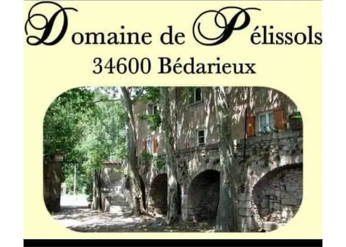 D'hotes Domaine De Pelissols 3*